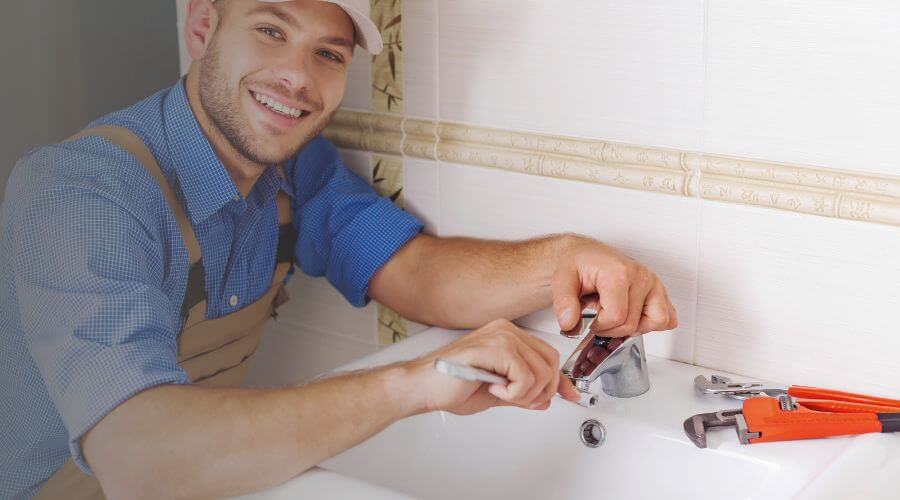 Professional Leak Detection Services services in Badger, MN